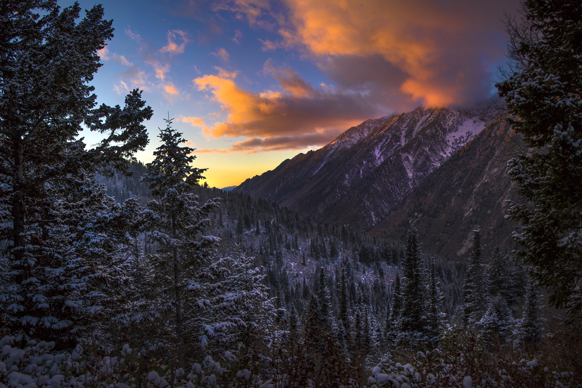 A Move to Utah with an Invisible Choir